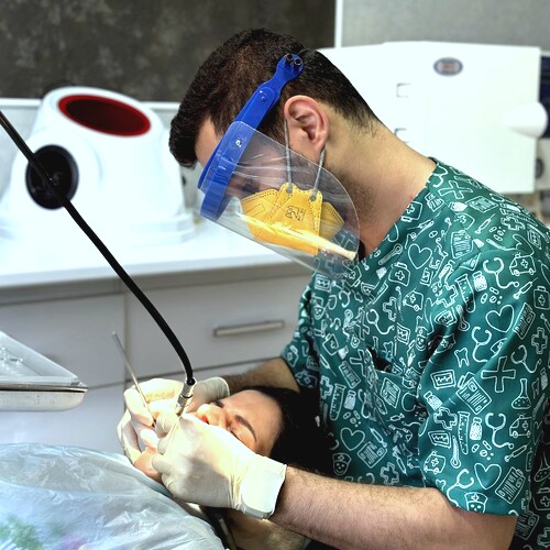 دکتر سروش امیرمحمودی