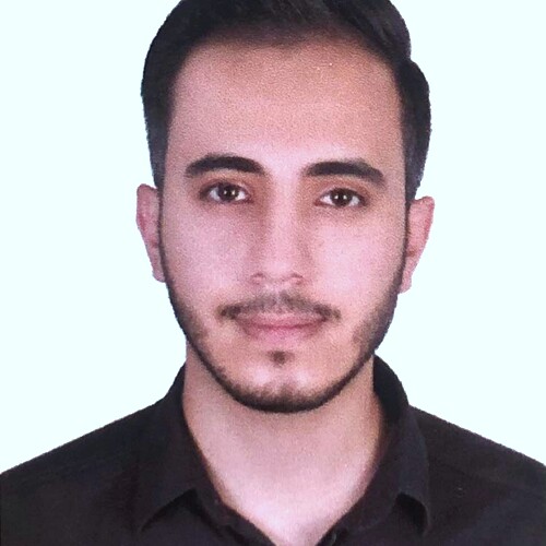 دکتر محمد مهدی حسنی
