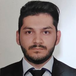 دکتر محمد علی آبایان فینی
