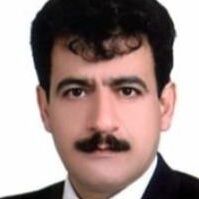 دکتر سیدمحمدمهدی حسینی